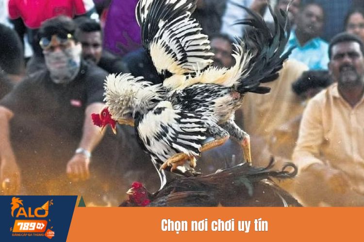 Chọn nơi chơi uy tín