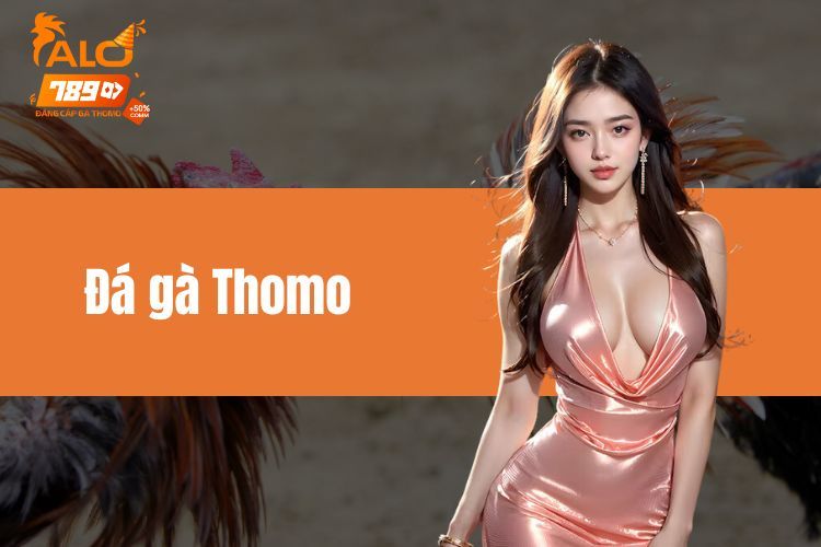 Đá gà Thomo - Phổ biến cách chơi dễ dành chiến thắng