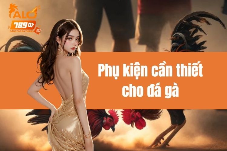 Phụ kiện cần thiết cho đá gà là gì? Bí kíp chọn lựa có 1-0-2